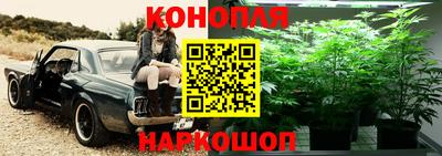 метадон Нарткала