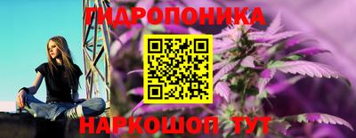эйфоретик Нальчик